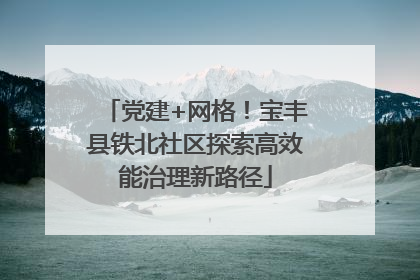 党建+网格！宝丰县铁北社区探索高效能治理新路径