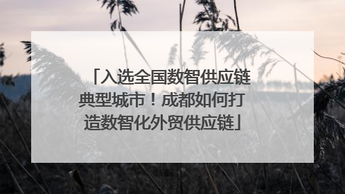 入选全国数智供应链典型城市！成都如何打造数智化外贸供应链