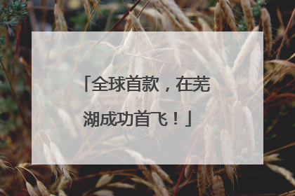 全球首款，在芜湖成功首飞！