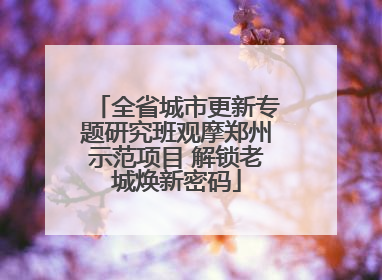 全省城市更新专题研究班观摩郑州示范项目 解锁老城焕新密码