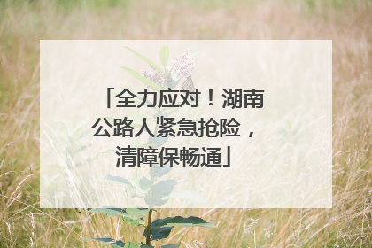 全力应对！湖南公路人紧急抢险，清障保畅通