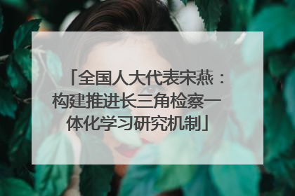 全国人大代表宋燕：构建推进长三角检察一体化学习研究机制