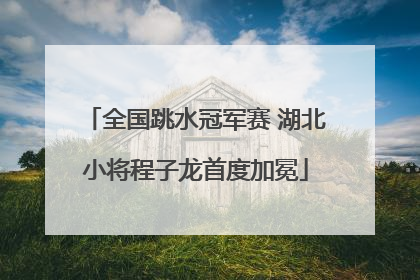 全国跳水冠军赛 湖北小将程子龙首度加冕