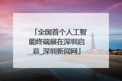 全国首个人工智能终端展在深圳启幕_深圳新闻网