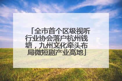 全市首个区级视听行业协会落户杭州钱塘，九州文化牵头布局微短剧产业高地