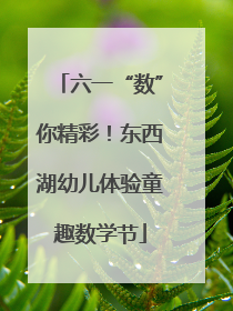 六一“数”你精彩！东西湖幼儿体验童趣数学节