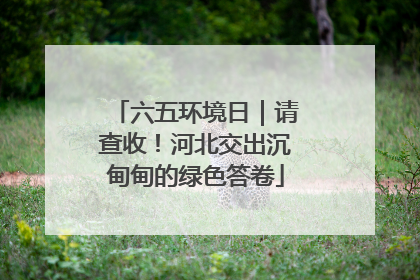 六五环境日｜请查收！河北交出沉甸甸的绿色答卷