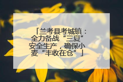 兰考县考城镇：全力备战“三夏”安全生产，确保小麦“丰收在仓”