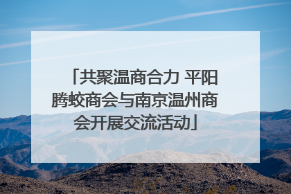 共聚温商合力 平阳腾蛟商会与南京温州商会开展交流活动