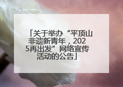 关于举办“平顶山非遗新青年，2025再出发”网络宣传活动的公告
