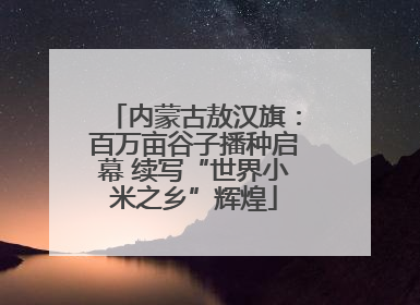 内蒙古敖汉旗：百万亩谷子播种启幕 续写“世界小米之乡”辉煌
