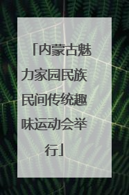 内蒙古魅力家园民族民间传统趣味运动会举行
