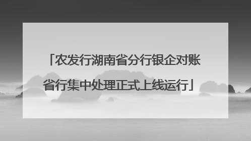 农发行湖南省分行银企对账省行集中处理正式上线运行