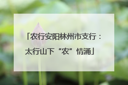 农行安阳林州市支行：太行山下“农”情涌