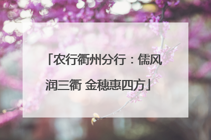 农行衢州分行：儒风润三衢 金穗惠四方