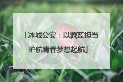 冰城公安：以藏蓝担当 护航青春梦想起航