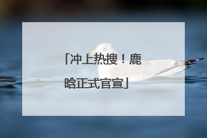 冲上热搜！鹿晗正式官宣