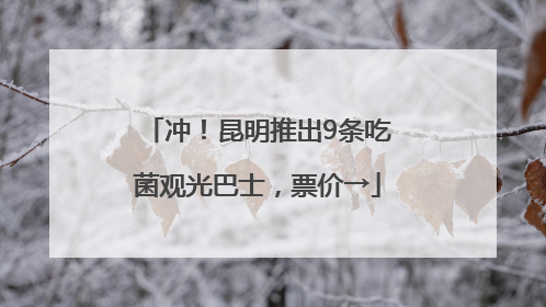 冲！昆明推出9条吃菌观光巴士，票价→