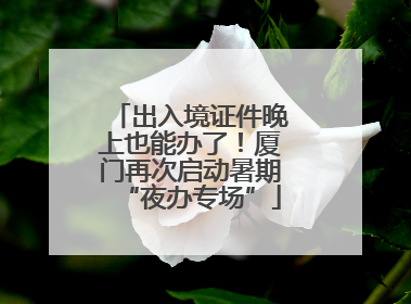 出入境证件晚上也能办了！厦门再次启动暑期“夜办专场”