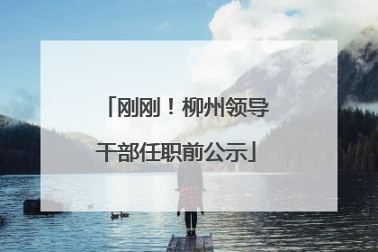 刚刚！柳州领导干部任职前公示