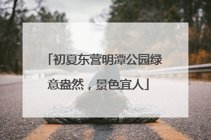 初夏东营明潭公园绿意盎然，景色宜人