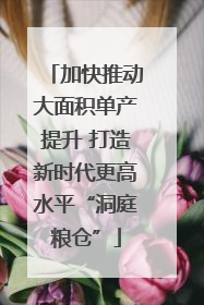 加快推动大面积单产提升 打造新时代更高水平“洞庭粮仓”
