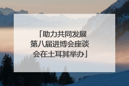 助力共同发展 第八届进博会座谈会在土耳其举办