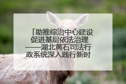 助推综治中心建设 促进基层依法治理——湖北黄石司法行政系统深入践行新时代枫桥经验