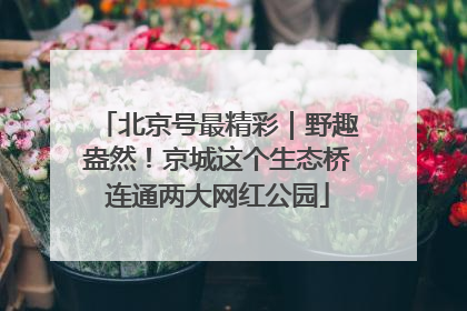 北京号最精彩｜野趣盎然！京城这个生态桥连通两大网红公园