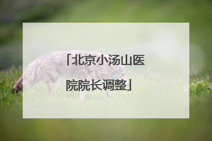 北京小汤山医院院长调整