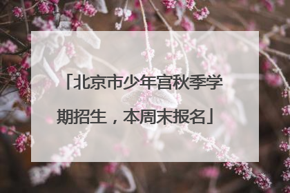 北京市少年宫秋季学期招生，本周末报名