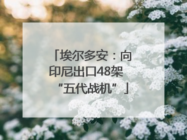 埃尔多安：向印尼出口48架“五代战机”