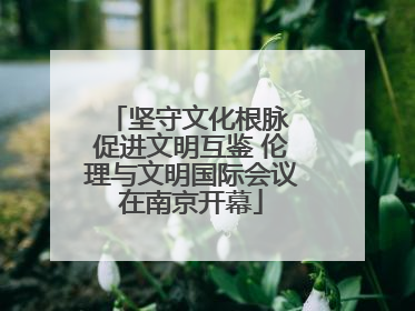 坚守文化根脉 促进文明互鉴 伦理与文明国际会议在南京开幕