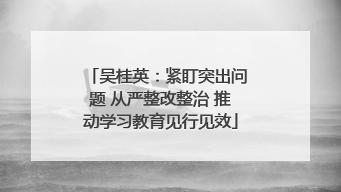 吴桂英：紧盯突出问题 从严整改整治 推动学习教育见行见效