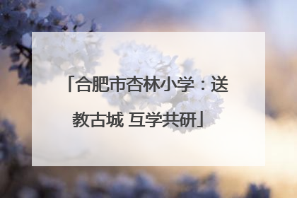 合肥市杏林小学：送教古城 互学共研