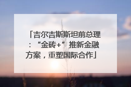 吉尔吉斯斯坦前总理：“金砖+”推新金融方案，重塑国际合作