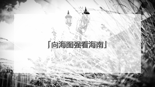 向海图强看海南