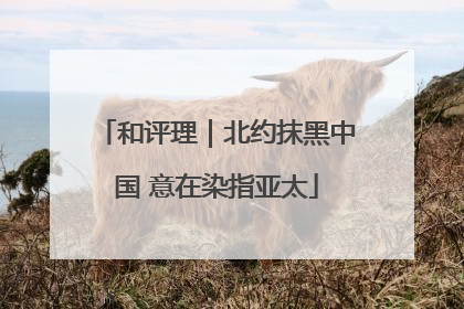 和评理｜北约抹黑中国 意在染指亚太
