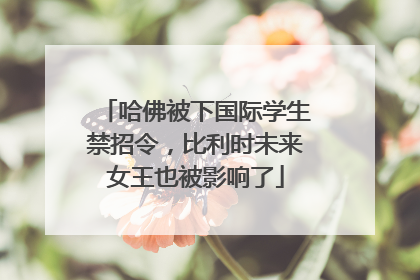 哈佛被下国际学生禁招令，比利时未来女王也被影响了