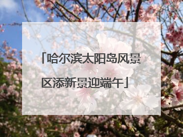 哈尔滨太阳岛风景区添新景迎端午