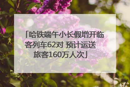 哈铁端午小长假增开临客列车62对 预计运送旅客160万人次