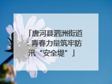 唐河县泗洲街道：青春力量筑牢防汛“安全堤”