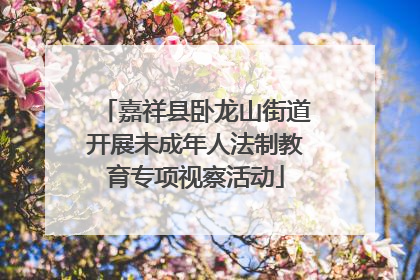 嘉祥县卧龙山街道开展未成年人法制教育专项视察活动