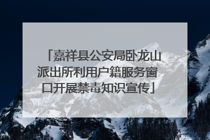 嘉祥县公安局卧龙山派出所利用户籍服务窗口开展禁毒知识宣传