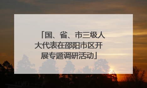 国、省、市三级人大代表在邵阳市区开展专题调研活动