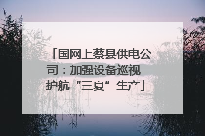 国网上蔡县供电公司：加强设备巡视 护航“三夏”生产