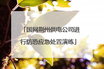 国网荆州供电公司进行防恐应急处置演练
