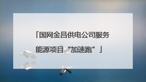 国网金昌供电公司服务能源项目“加速跑”