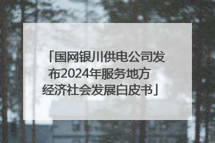 国网银川供电公司发布2024年服务地方经济社会发展白皮书