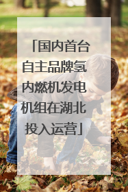 国内首台自主品牌氢内燃机发电机组在湖北投入运营